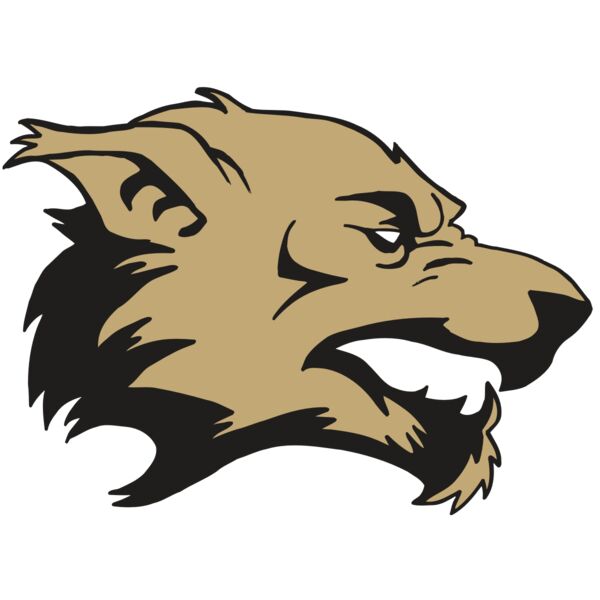 AR5 Wolf 12 RQC Thumbnail